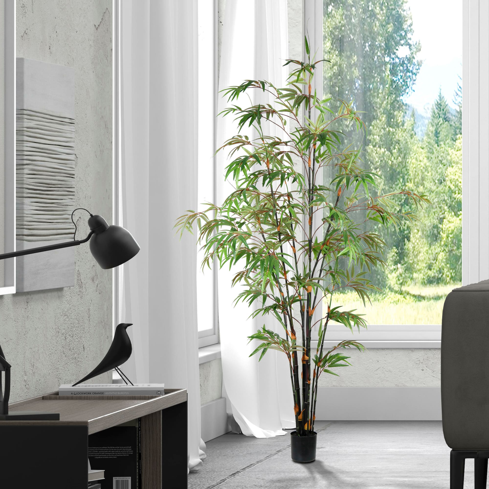 6ft. Potted Black Japanese Bamboo Tree